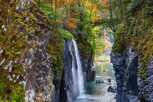 <Summer> Nature Beauty in Southern Kyushu & Yakushima Island 10D7N