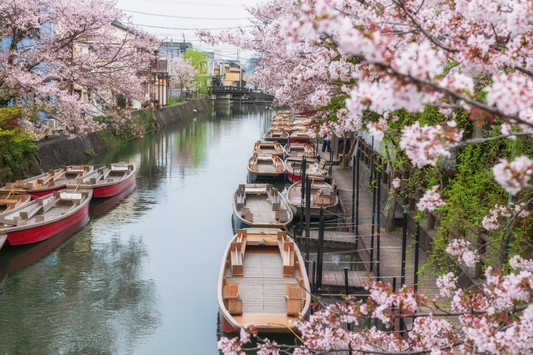 <Spring> Spring Breeze in Kyushu 9D7N/10D7N
