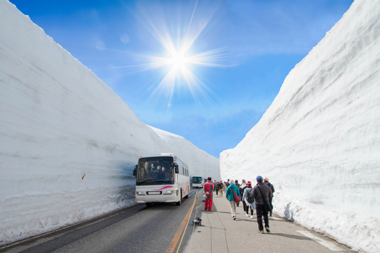 <Spring> Spring Discovery in Central Japan 9D6N