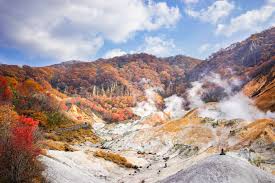 JR Hokkaido - Hokkaido Rail Pass 5 Days