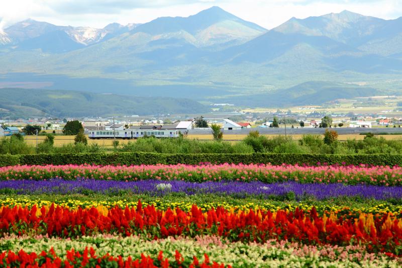 JR Hokkaido - Hokkaido Rail Pass 5 Days