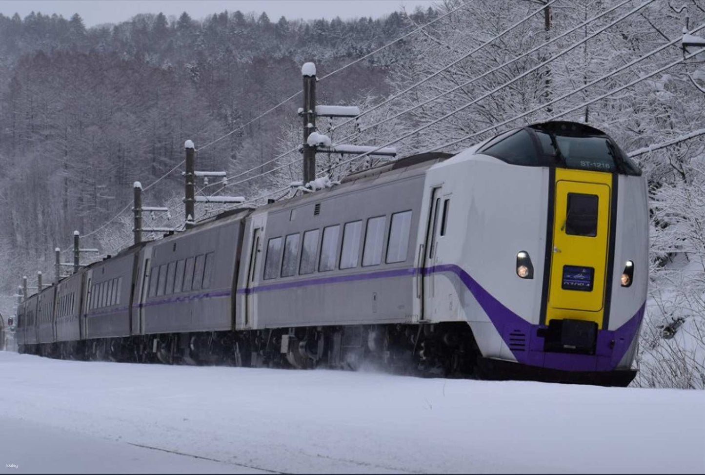 JR Hokkaido - Hokkaido Rail Pass 5 Days