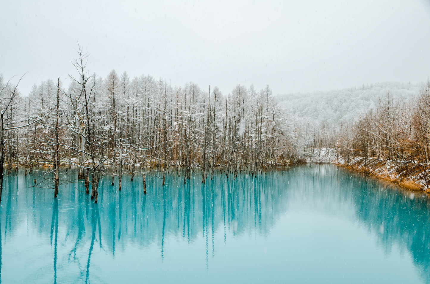 <Winter> Hokkaido Winter Festival & Icebreaker + 2N Tokyo 11D8N