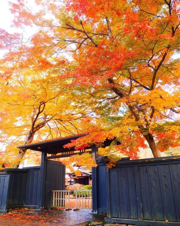 [SJ60 Exclusive Plan] <Autumn> Autumn Beauty in East South Hokkaido & Enchanting Tohoku 10D7N/11D8N