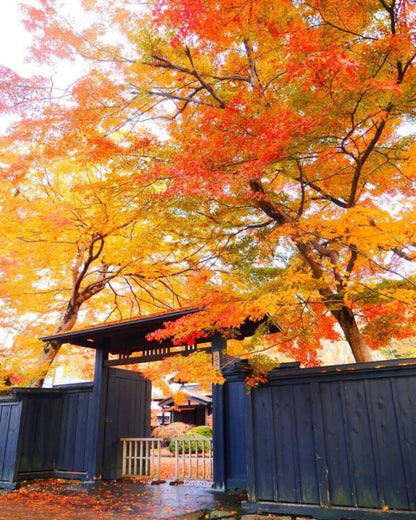 [SJ60 Exclusive Plan] <Autumn> Autumn Beauty in East South Hokkaido & Enchanting Tohoku 10D7N/11D8N