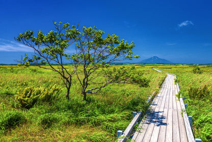 <Summer> Sublime Summer in Northern Hokkaido + 2N Tokyo 11D8N