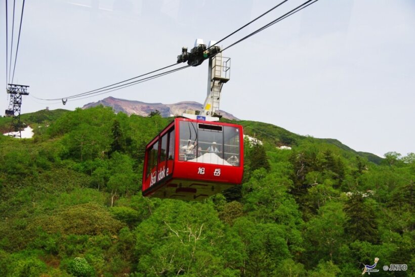 <Autumn> Fabulous East Hokkaido + 2N Tokyo 11D8N