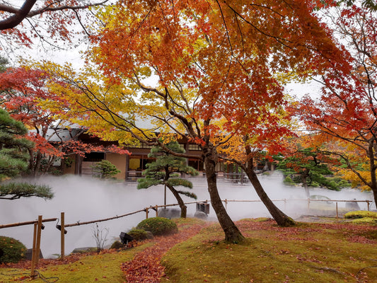 <Autumn> Autumn Charms of Chugoku & San'in Japan 10D7N