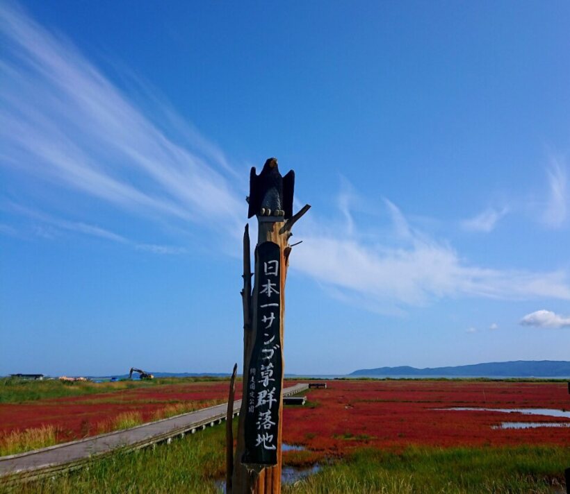 <Autumn> Fabulous East Hokkaido + 2N Tokyo 11D8N