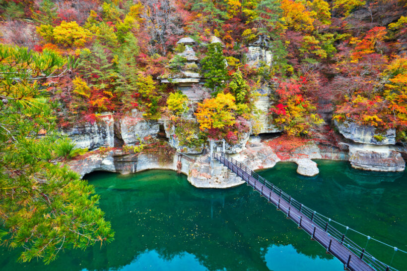 <Autumn> Autumn Discovery in North Japan 9D6N