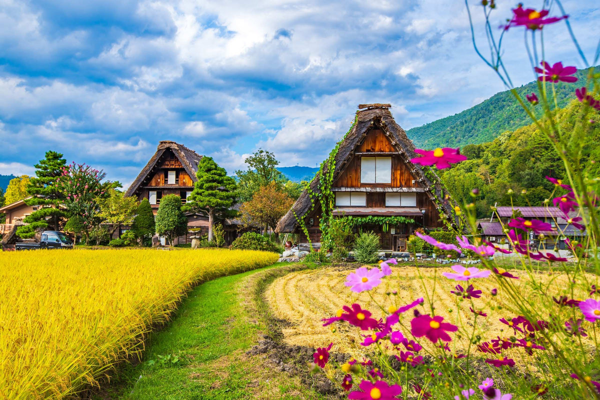 <Spring> Spring Discovery in Central Japan 9D6N