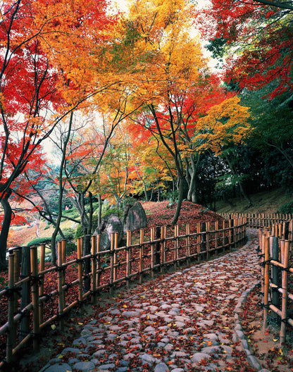 <Autumn> Amazing Shikoku 10D7N