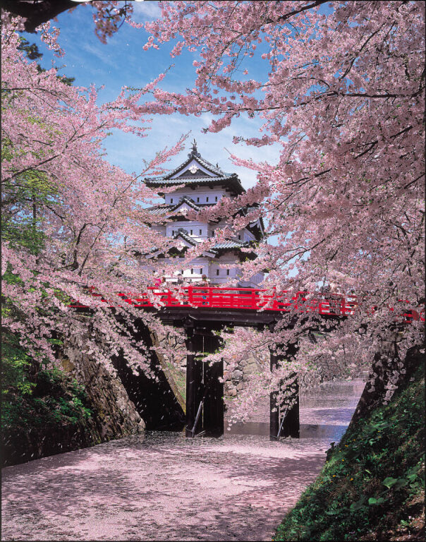 <Spring> Embracing Spring in North Japan 11D8N