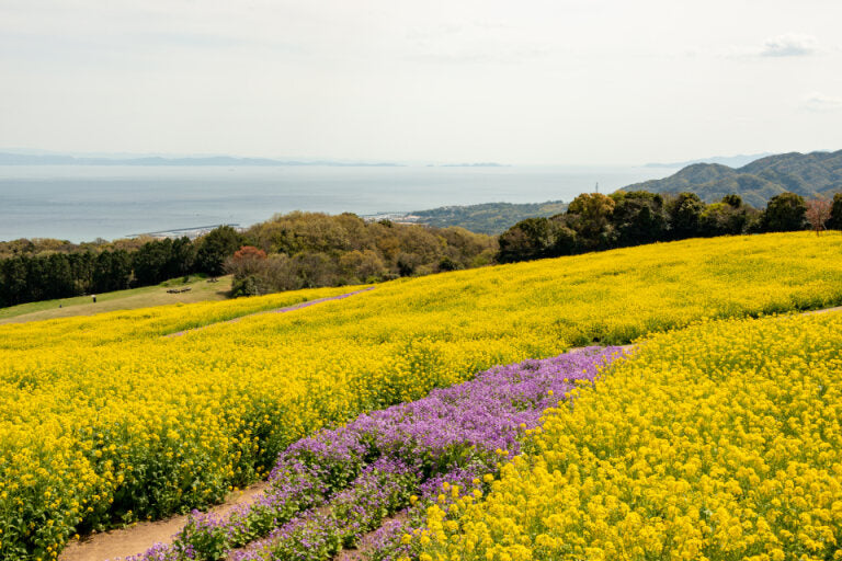 <Spring> Charms of Chugoku & San'in Japan 10D7N