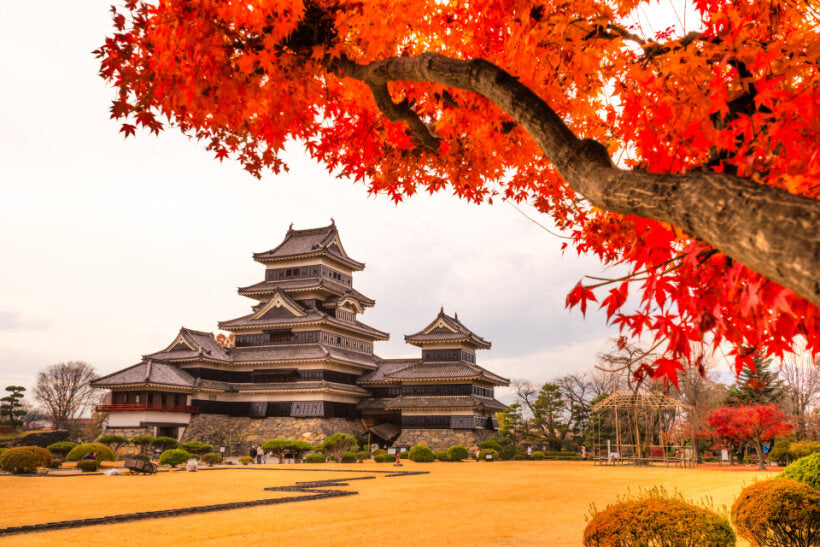 <Autumn> Autumn Colors in North Central Japan 10D7N