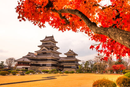 <Autumn> Autumn Colors in North Central Japan 10D7N