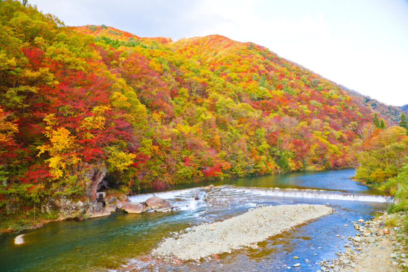 <Autumn> Autumn Discovery in North Japan 9D6N