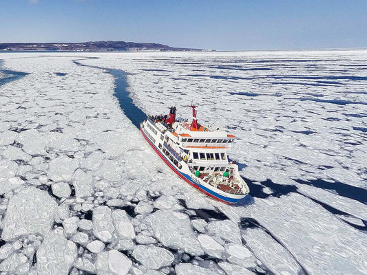 <Winter> Hokkaido Winter Festival & Icebreaker + 2N Tokyo 11D8N