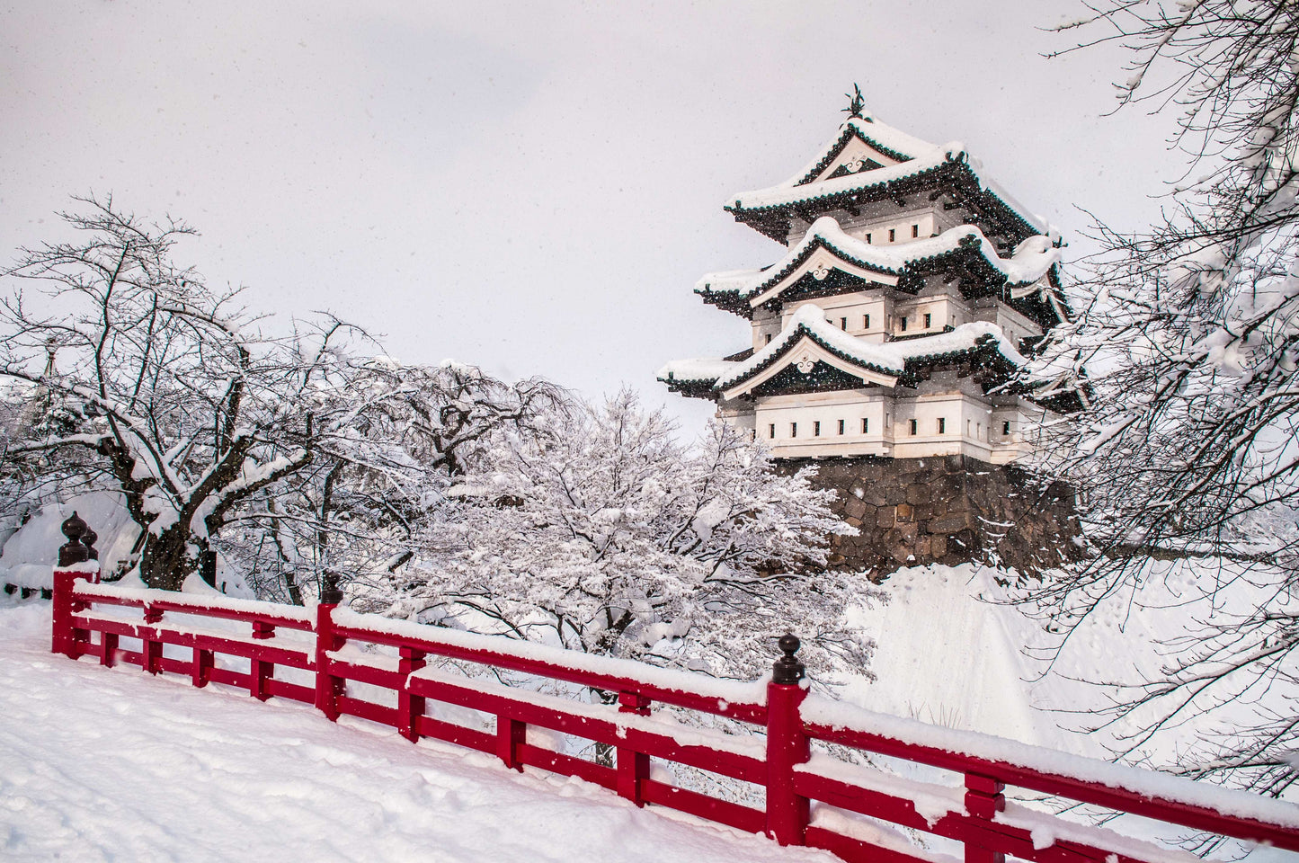 <Winter> Winter Discovery in North Japan with Snow Monsters 10D7N