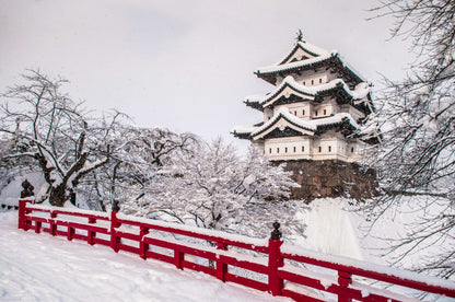 <Winter> Winter Discovery in North Japan with Snow Monsters 10D7N
