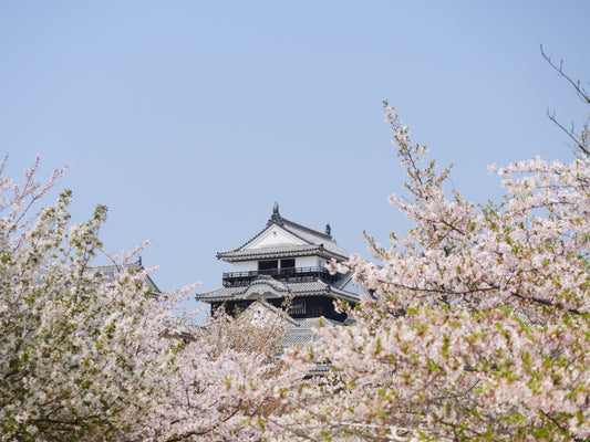 <Spring> Spring Wonders in Shikoku & Awaji Island 9D7N/10D7N