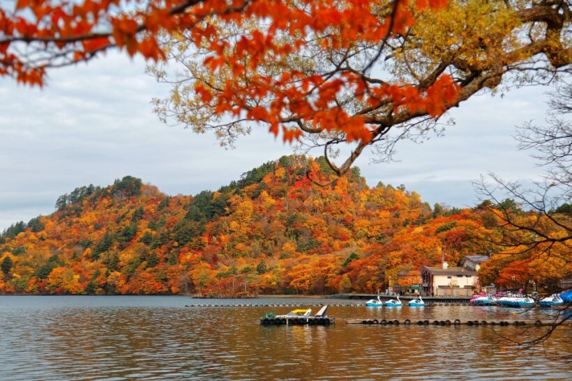 <Autumn> Autumn Discovery in North Japan 9D6N