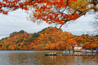 <Autumn> Autumn Discovery in North Japan 9D6N