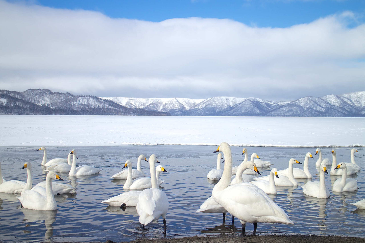 <Winter> Hokkaido Winter Festival & Icebreaker + 2N Tokyo 11D8N