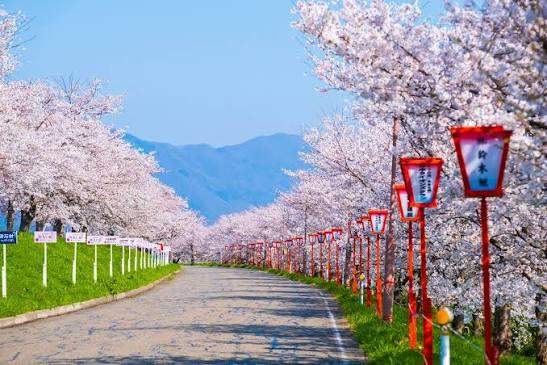 <Spring> Spring Quartet & Hidden Treasures of Hokuriku, Niigata & Yamagata 10D7N
