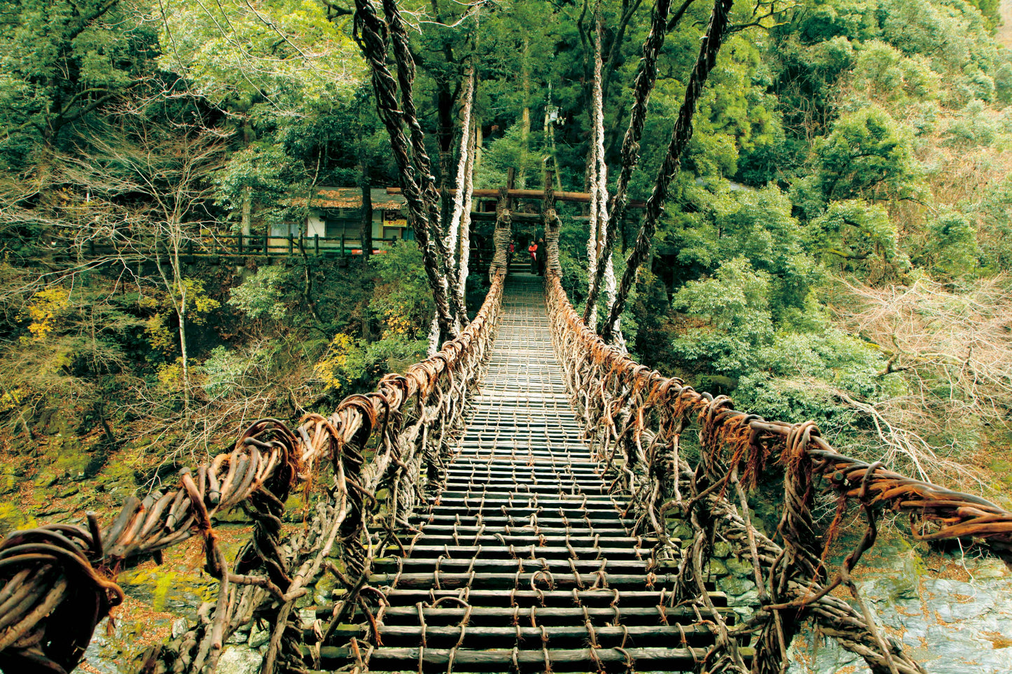 <Autumn> Amazing Shikoku 10D7N