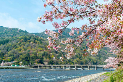 <Spring> Spring Elegance Classic Japan 9D7N/10D7N