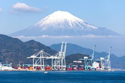 <Winter> Early Blossoms in North Central Japan with Izu Peninsula 9D7N/10D7N