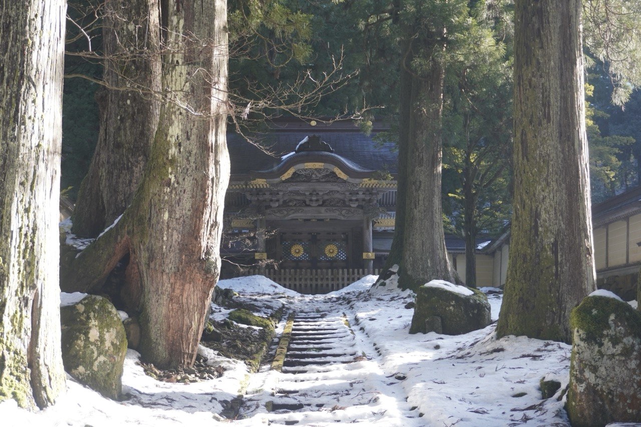 <Winter> Japan Winter ONLY $2999 10D7N