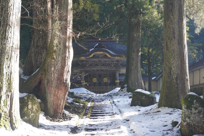 <Winter> Japan Winter ONLY $2999 10D7N