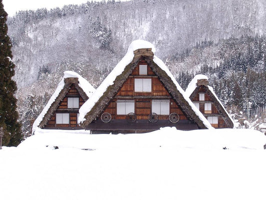 <Winter> Japan Winter ONLY $2999 10D7N