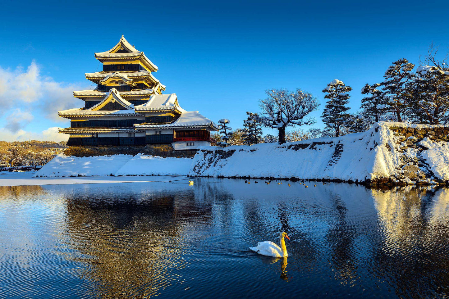 <Winter> Winter Light Up & Gourmet Indulgence in Central Japan 9D6N
