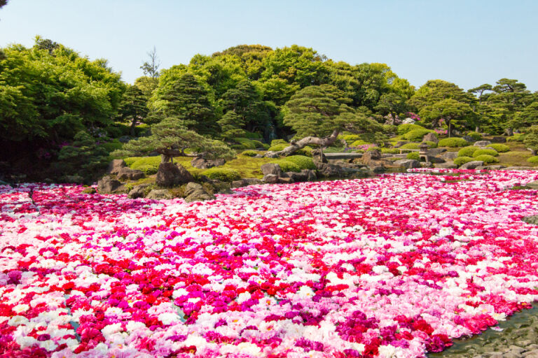 <Spring> Charms of Chugoku & San'in Japan 10D7N