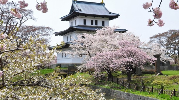<Spring> Spring Beauty in North Japan & East South Hokkaido 11D8N