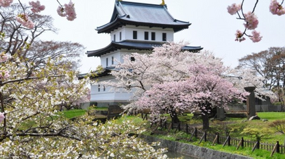 <Spring> Spring Beauty in North Japan & East South Hokkaido 11D8N