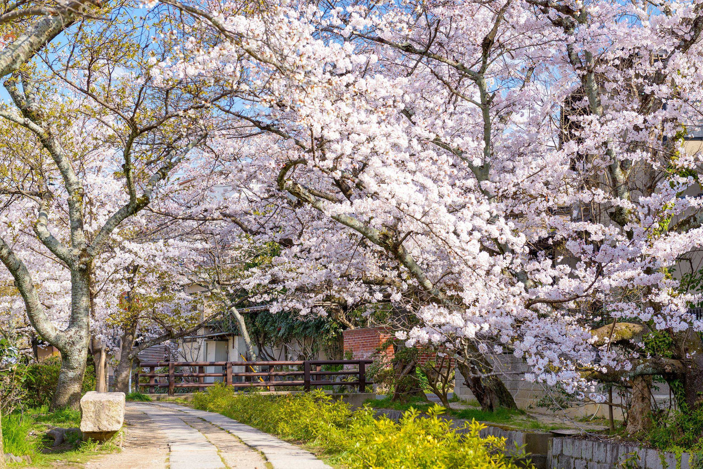 <Spring> Spring Elegance Classic Japan 9D7N/10D7N