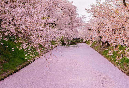 <Spring> Embracing Spring in Miyagi, Iwate, Akita & Aomori 9D7N