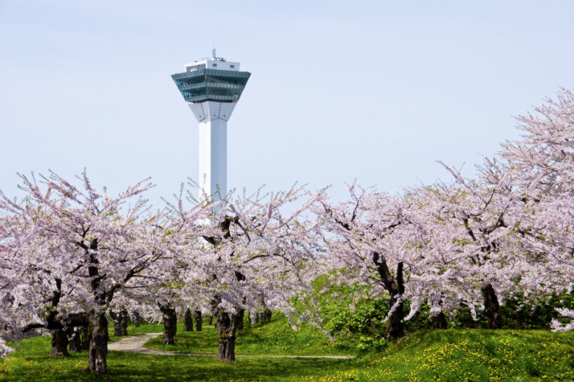 <Spring> Spring Beauty in North Japan & East South Hokkaido 11D8N