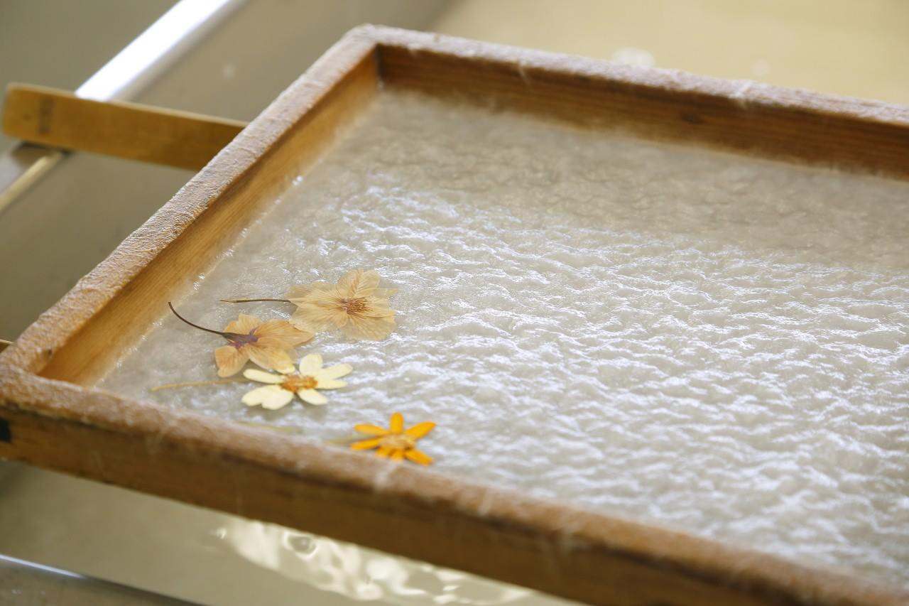 <Winter> Winter Light Up & Gourmet Indulgence in Central Japan 9D6N