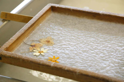 <Winter> Winter Light Up & Gourmet Indulgence in Central Japan 9D6N