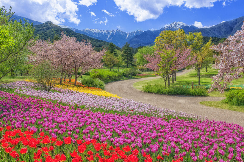 <Spring> Spring Colours in North Central Japan 10D7N/9D7N