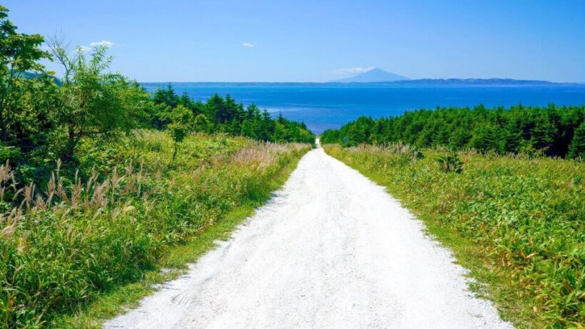 <Summer> Sublime Summer in Northern Hokkaido + 2N Tokyo 11D8N