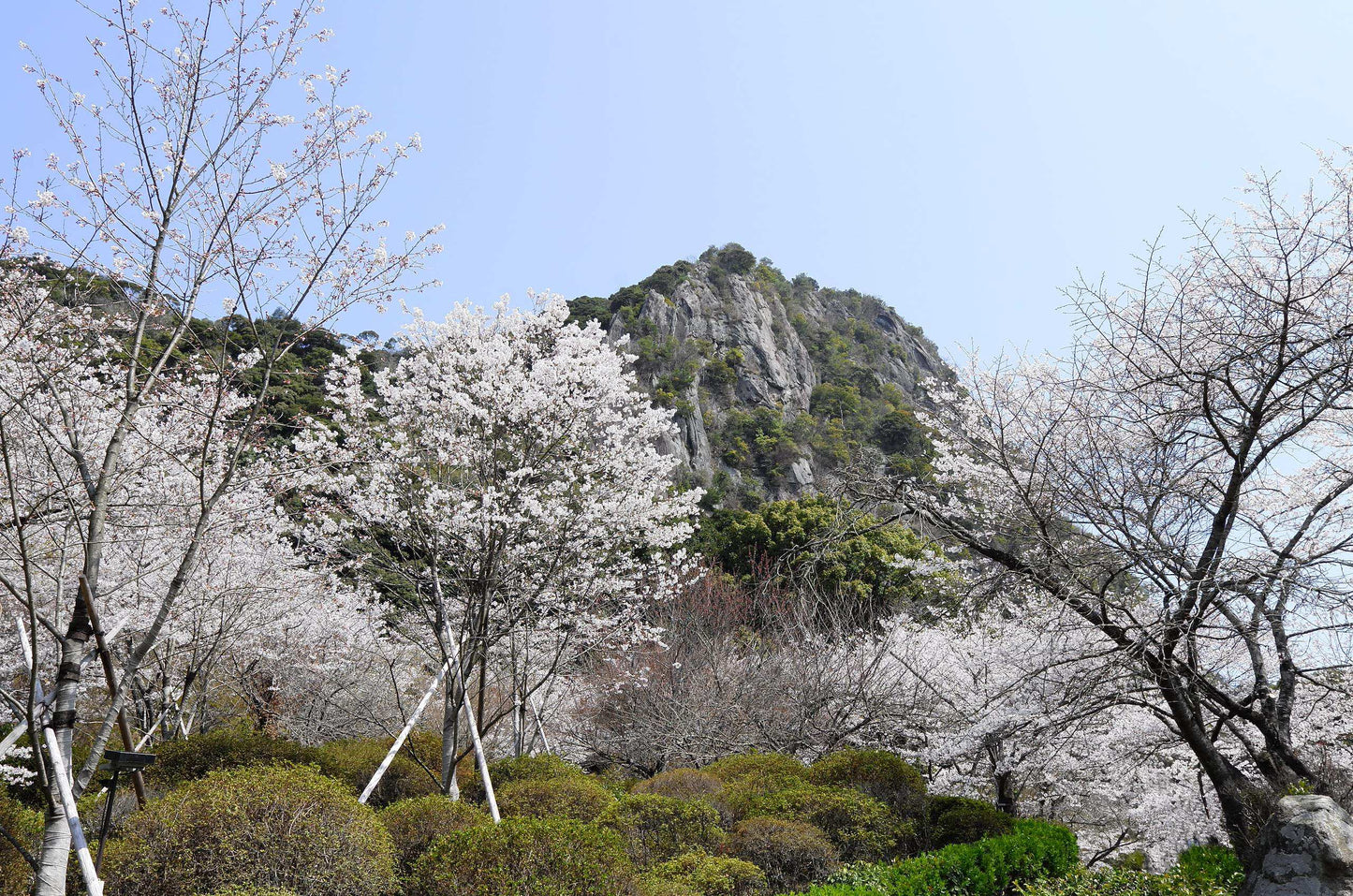 <Spring> Spring Breeze in Kyushu 9D7N/10D7N