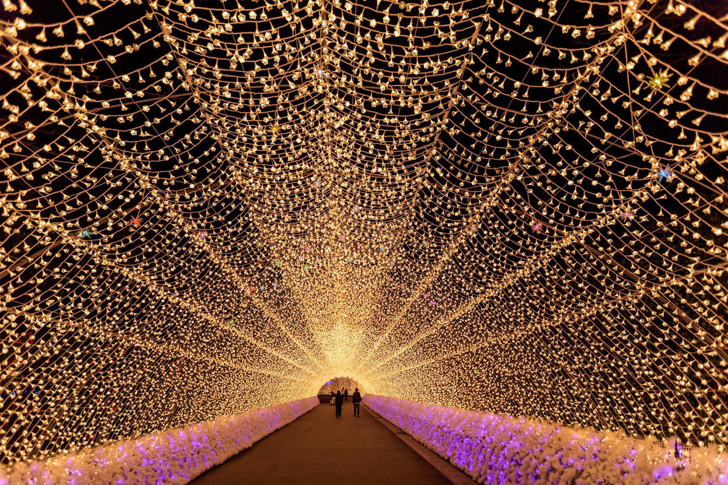 <Winter> Winter Light Up & Gourmet Indulgence in Central Japan 9D6N
