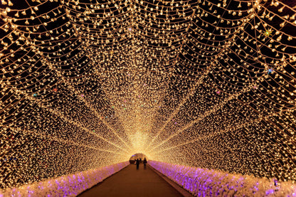 <Winter> Winter Light Up & Gourmet Indulgence in Central Japan 9D6N