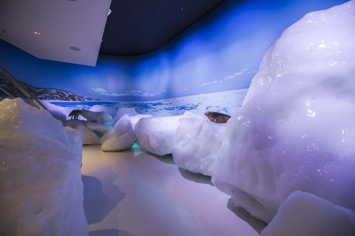 <Winter> Hokkaido Winter Festival & Icebreaker + 2N Tokyo 11D8N